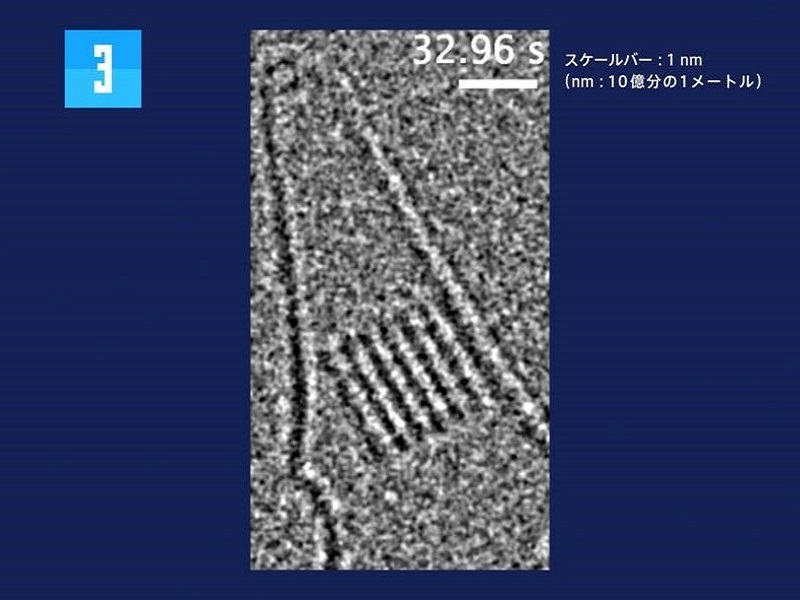 写真提供：株式会社モンタージュ、東京大学総括プロジェクト機構・大学院理学系研究科化学専攻「革新分子技術」総括寄付講座 中村研究室